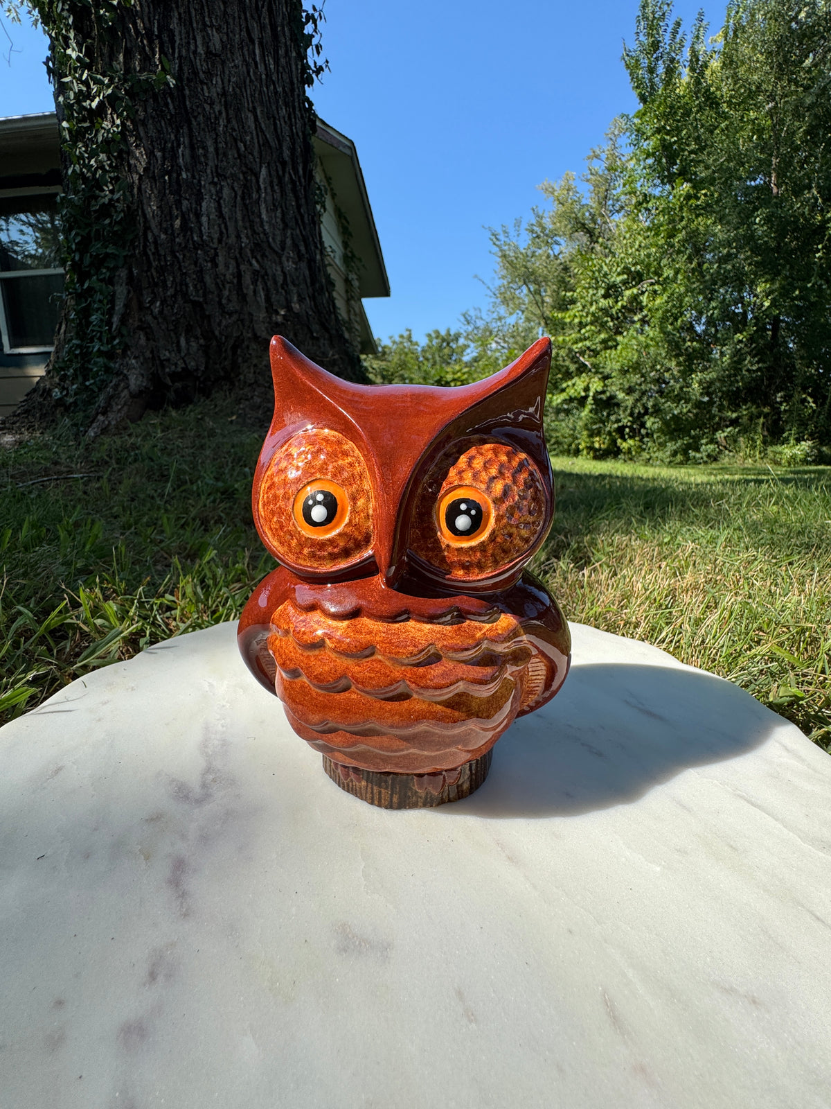 Owl Bank