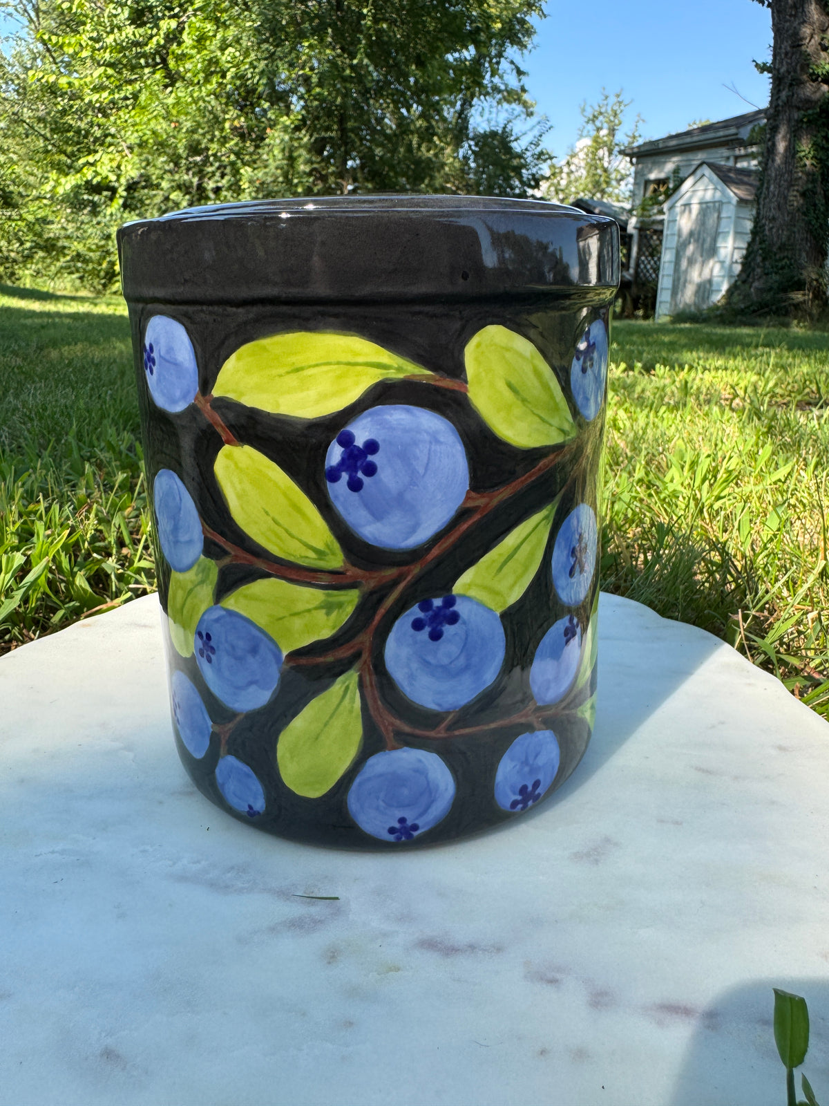 Discounted Test Run Price! Blueberry Canister