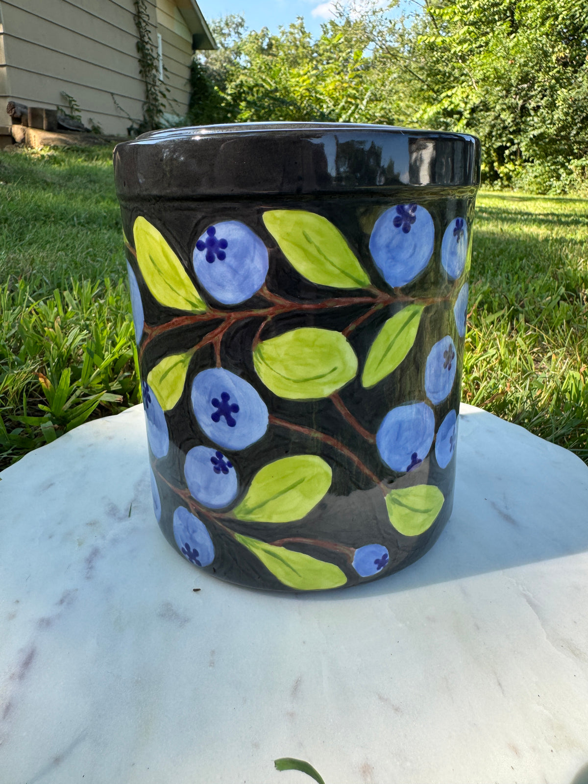 Discounted Test Run Price! Blueberry Canister