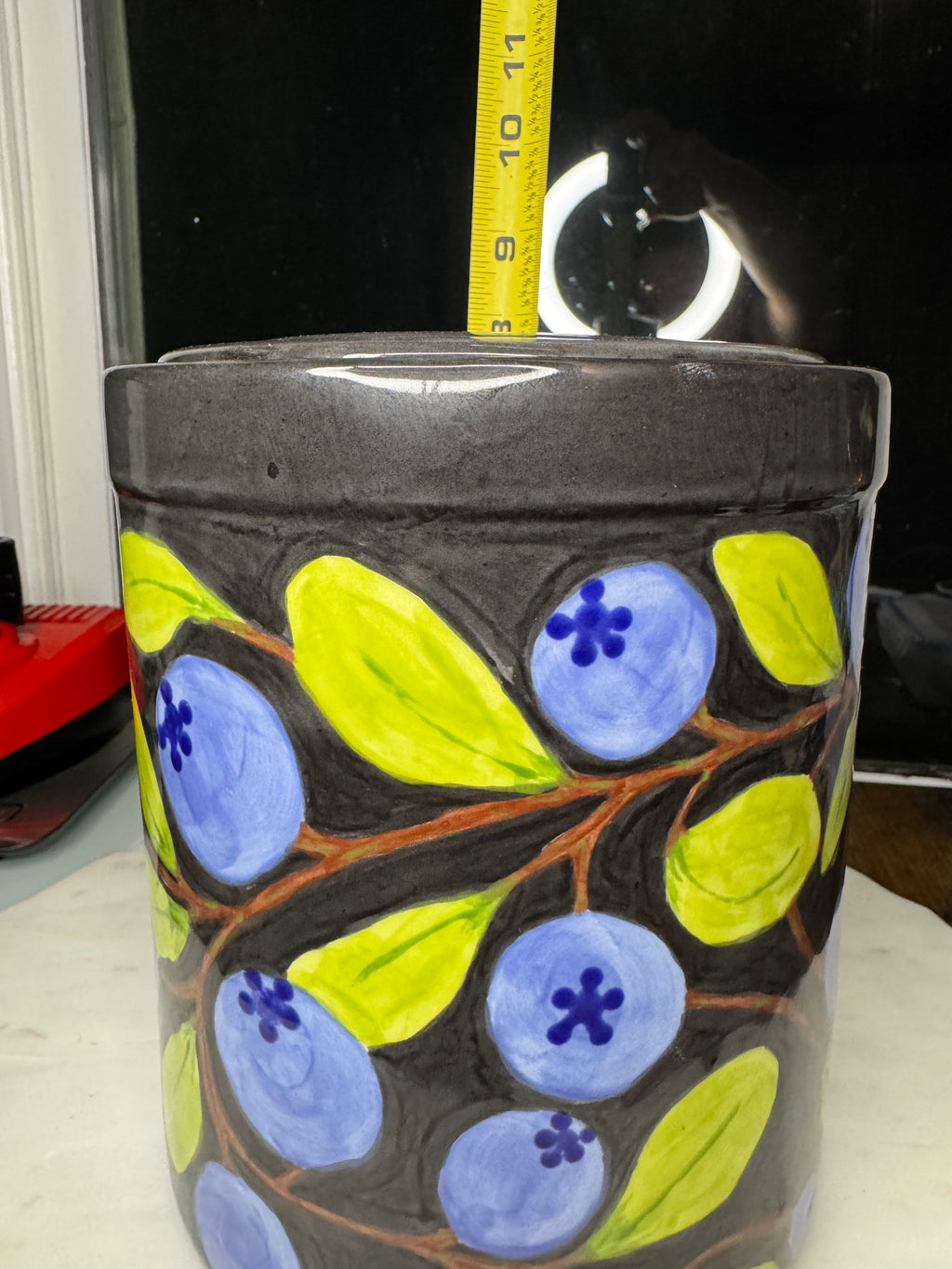 Discounted Test Run Price! Blueberry Canister