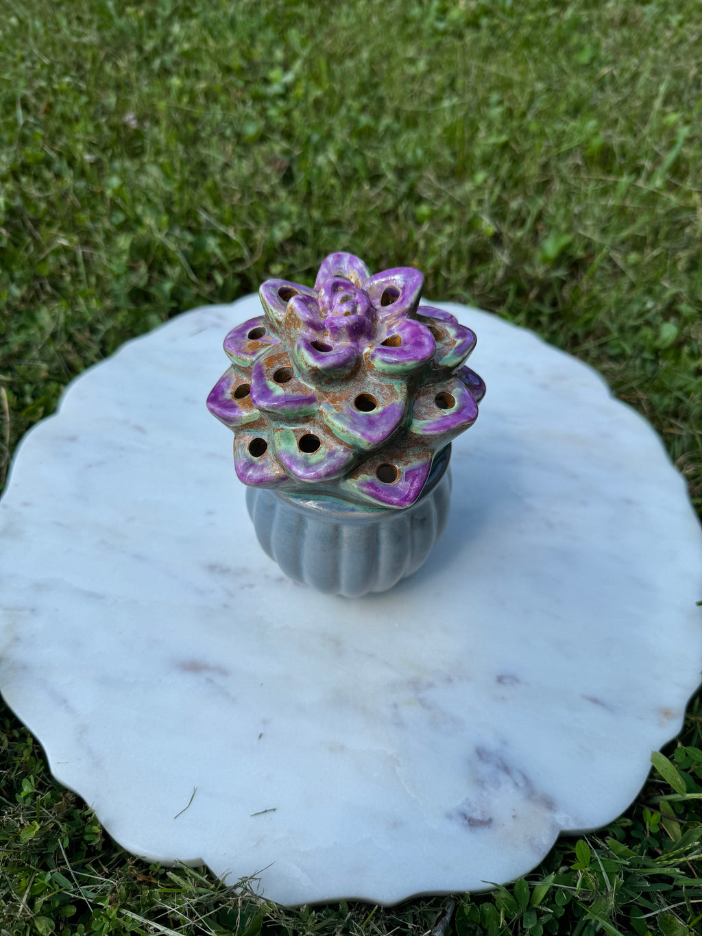 Lighted Succulent