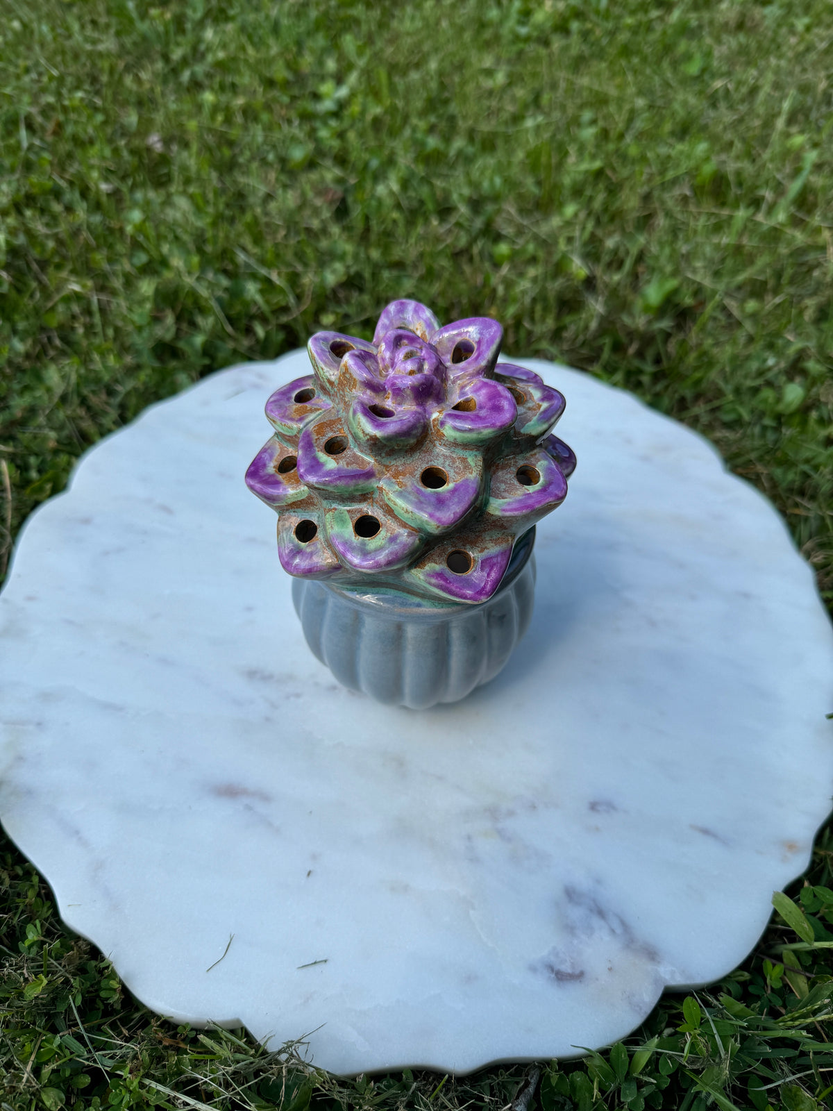 Lighted Succulent