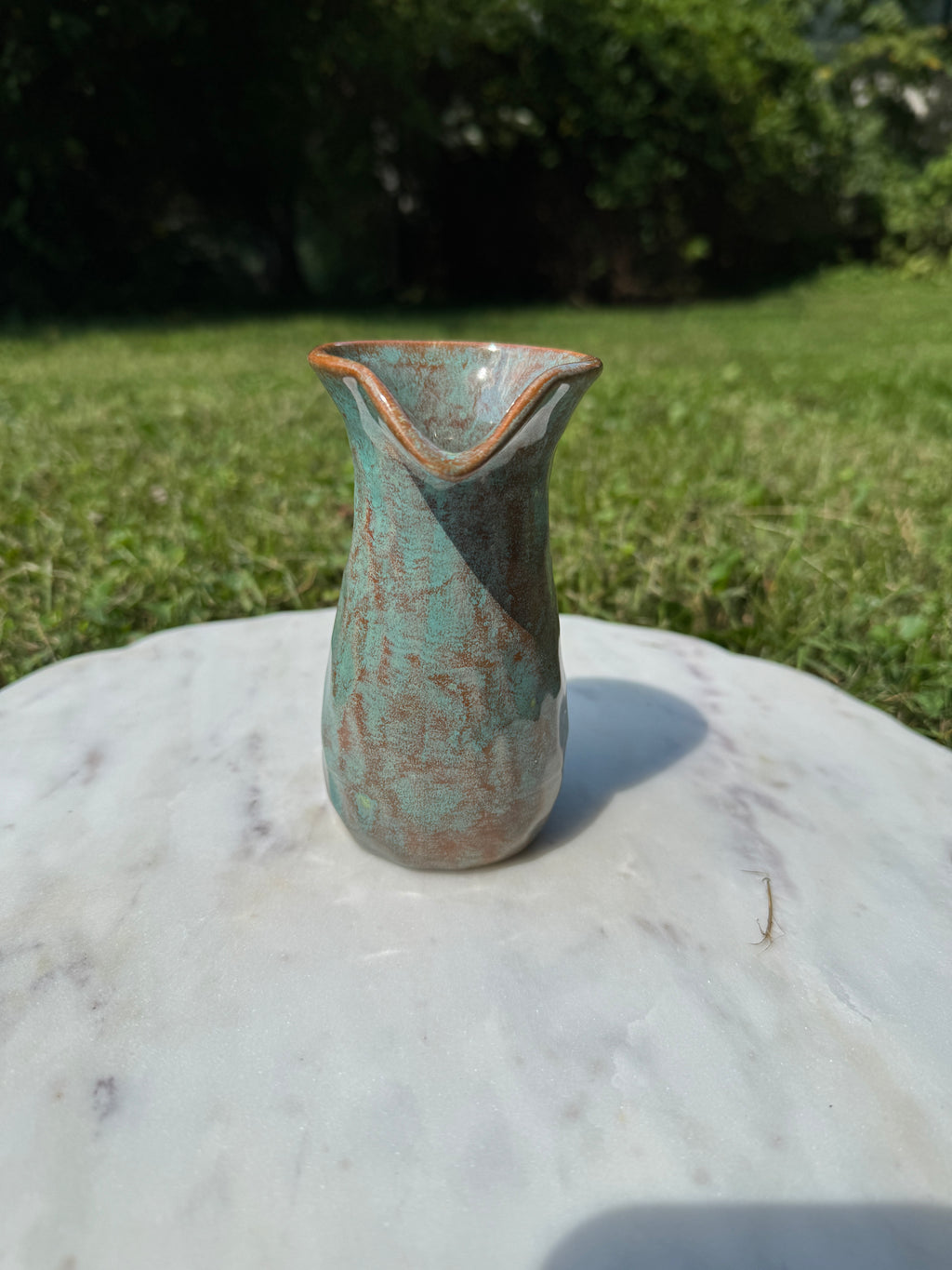 Salsa Cup