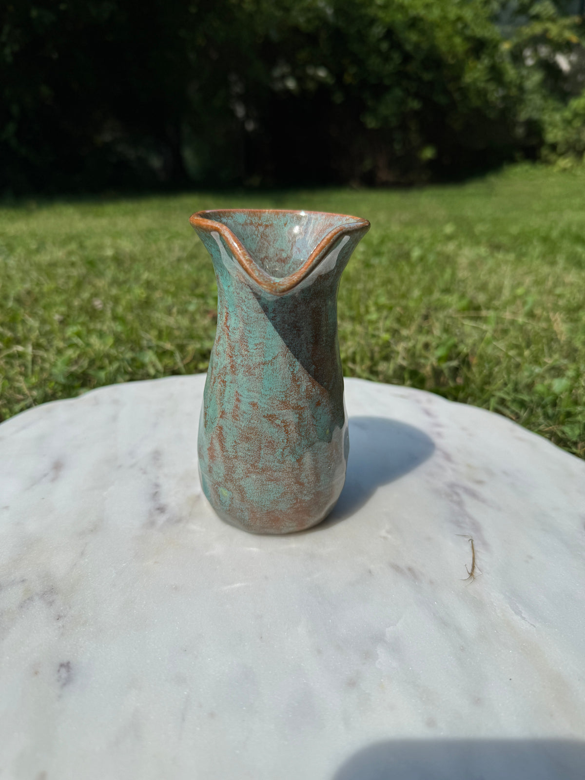 Salsa Cup