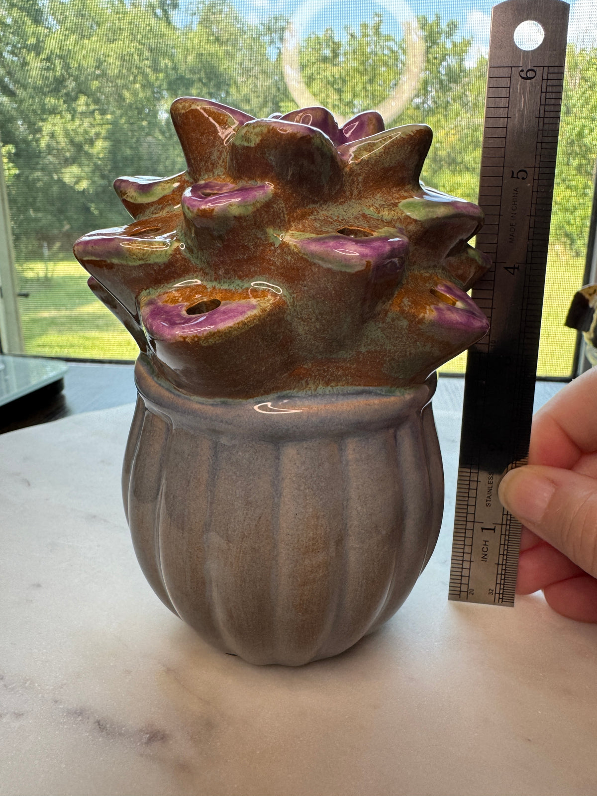 Lighted Succulent