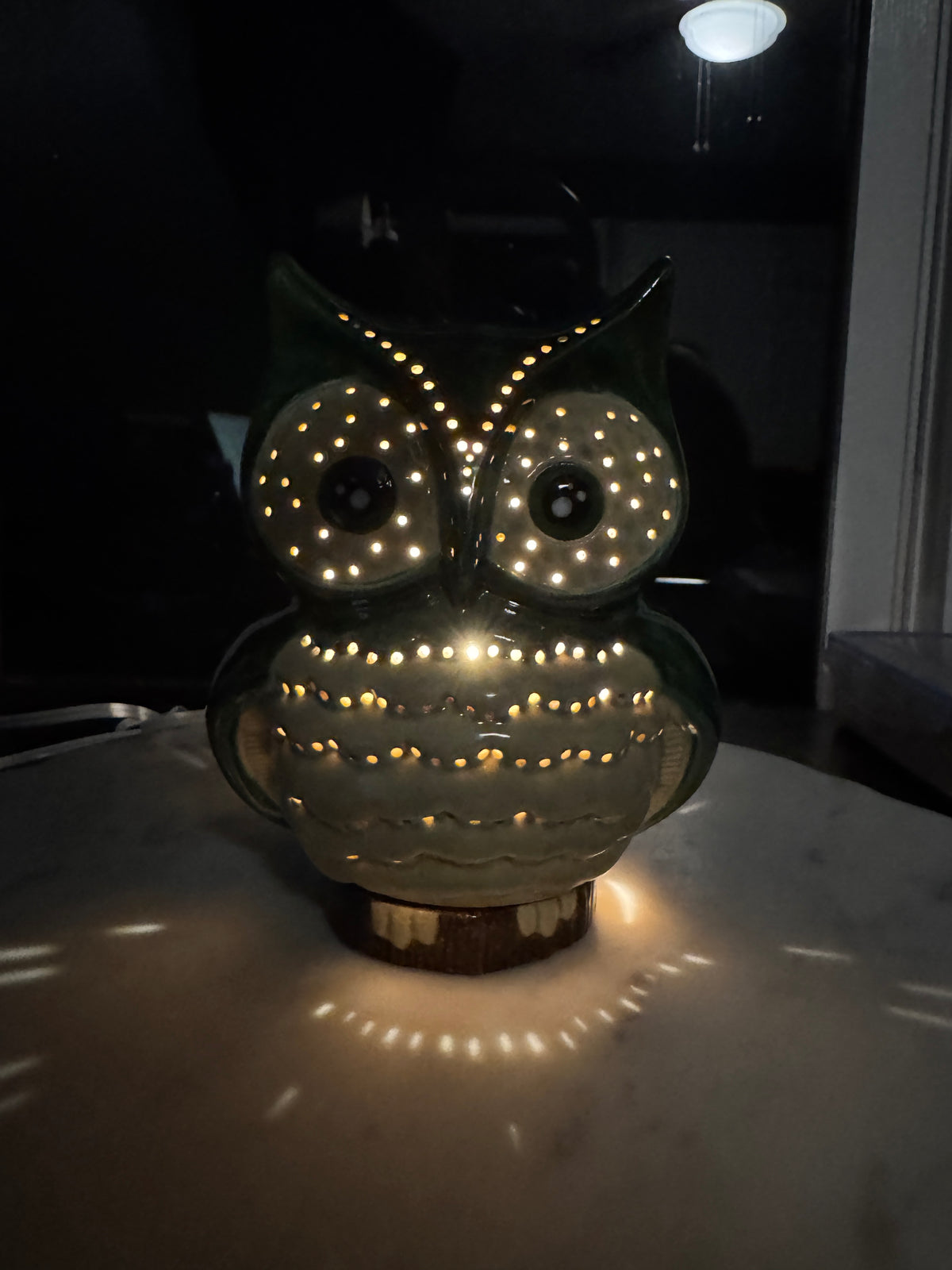 Owl Lantern