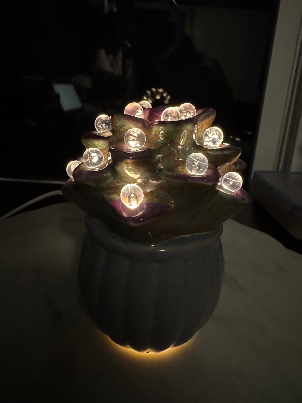 Lighted Succulent