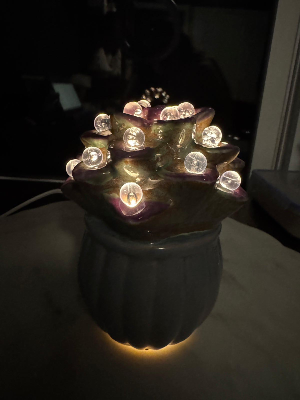 Lighted Succulent